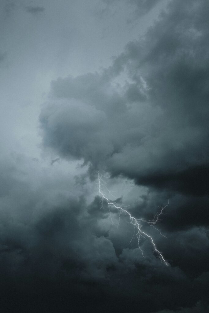 진괘 ― 먼저 움직이는 사람 filip kvasnak ulbqfedxe0i unsplash