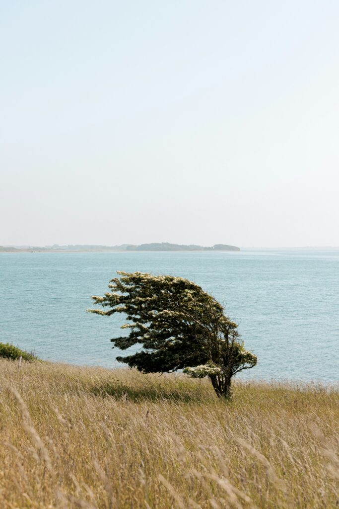 손괘 ― 부드럽게 스며들어 바꾸는 자 karl hornfeldt r7skewl45qk unsplash
