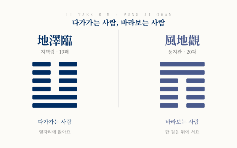 지택림과 풍지관의 괘상을 나란히 놓고 성격을 한 줄로 대비한 그림.