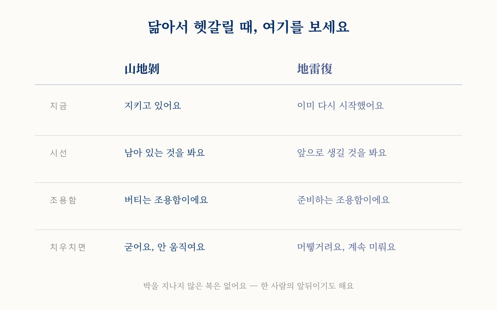지금·시선·조용함·치우치면 네 가지를 기준으로 산지박과 지뢰복의 성향을 나란히 비교한 표.